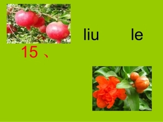 小学一年级上册语文石榴笑了