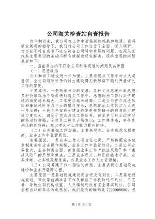 公司海关检查站自查报告