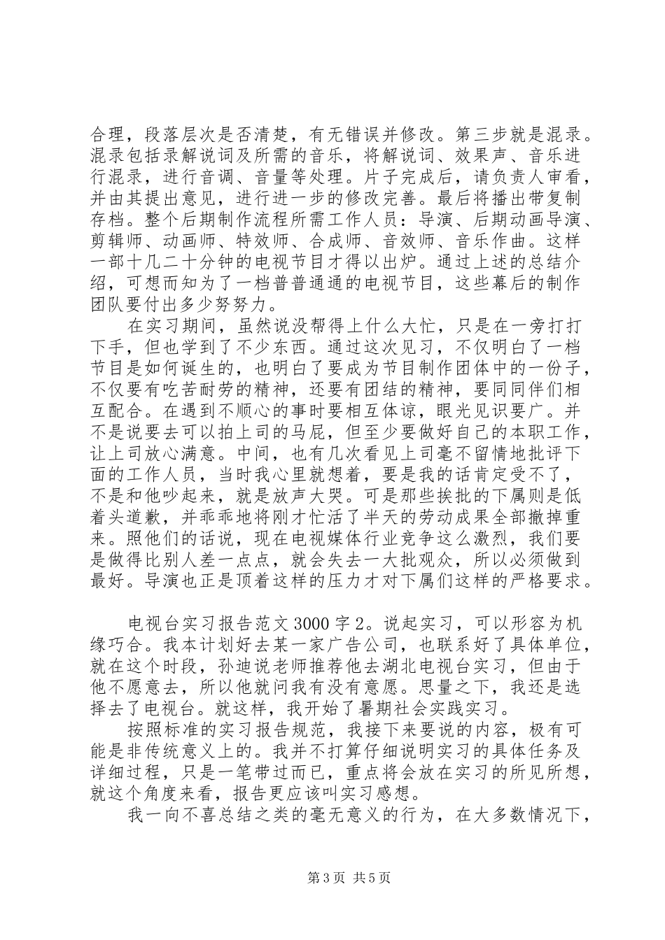 电视台实习报告范文3000字_第3页