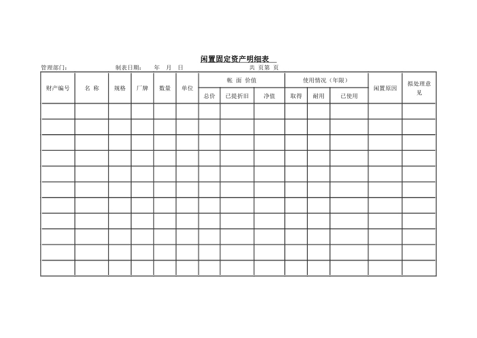闲置固定资产明细表_第1页