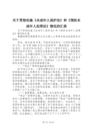 关于贯彻实施《未成年人保护法》和《预防未成年人犯罪法》情况的汇报 (12)