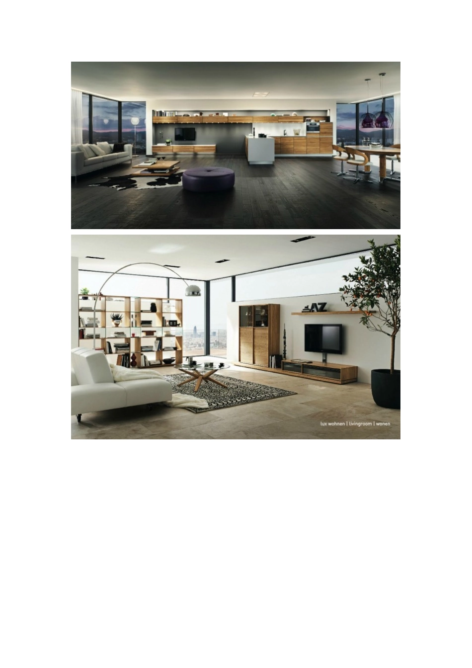 现代家居设计中的木质家具_第2页