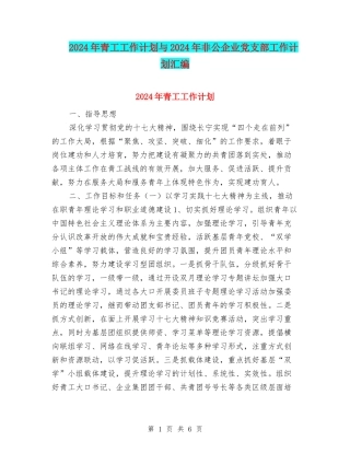 2024年青工工作计划与2024年非公企业党支部工作计划汇编.doc