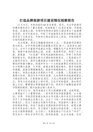 打造品牌旅游项目建设情况视察报告