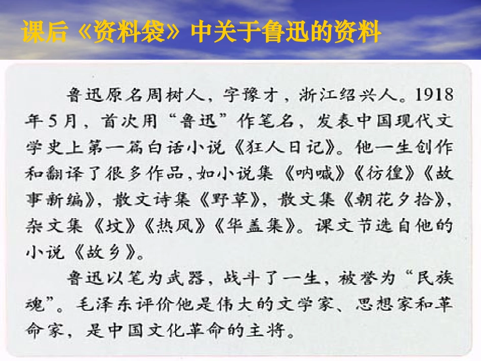 《少年闰土》教学PPT_第2页