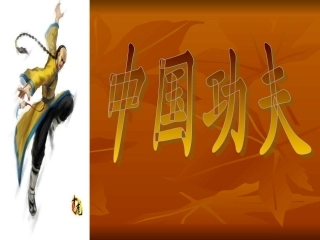 《中国功夫》