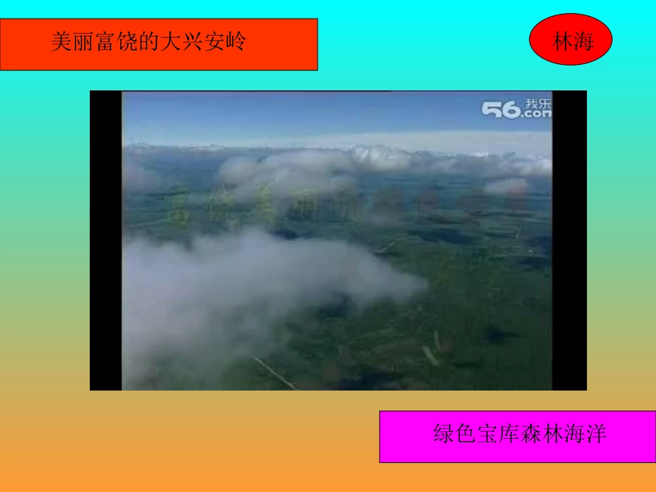 长春版小学语文五年级上《林海》教学课件_第2页