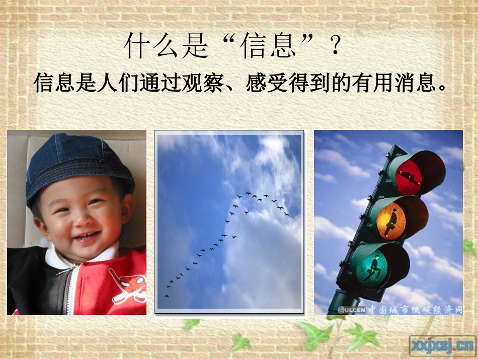 广西科技版信息技术三年级上册——主题一让我们感受身边的信息_第2页