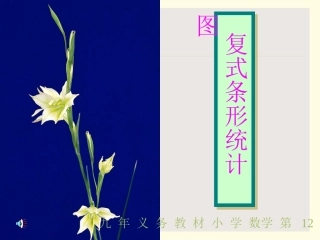 复式条形统计图