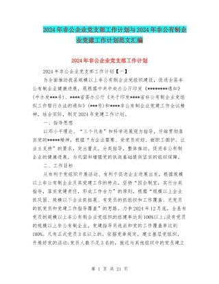2024年非公企业党支部工作计划与2024年非公有制企业党建工作计划范文汇编