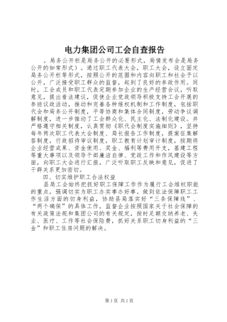 电力集团公司工会自查报告