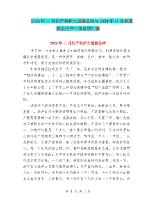 2024年11月妇产科护士进修总结与2024年11月季度安全生产工作总结汇编