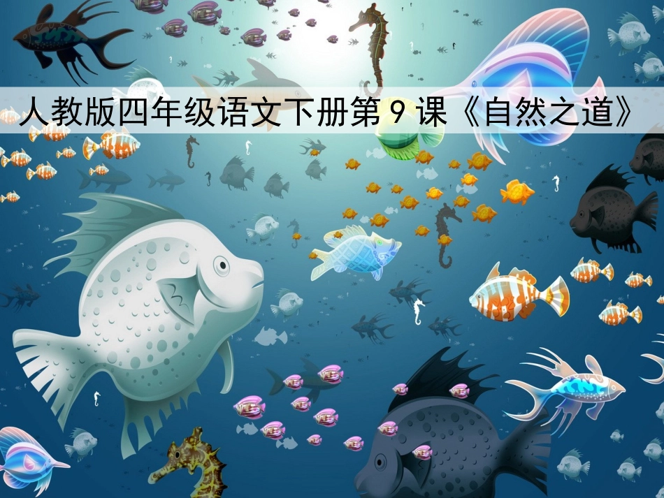 人教版四年级语文下册第9课《自然之道》PPT课件------张新敏_第1页
