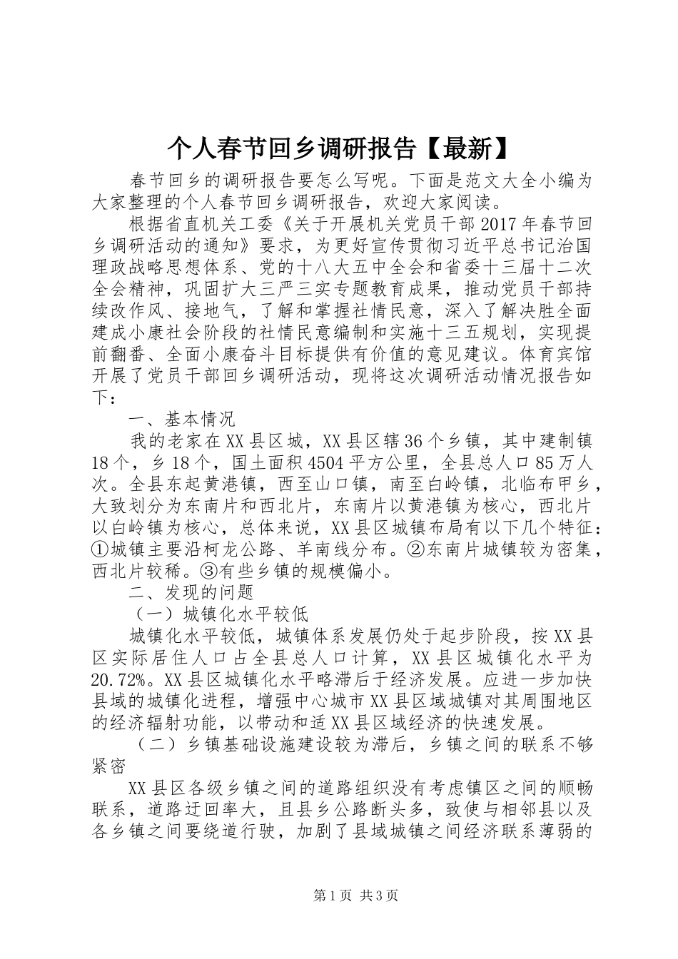 个人春节回乡调研报告【最新】_第1页