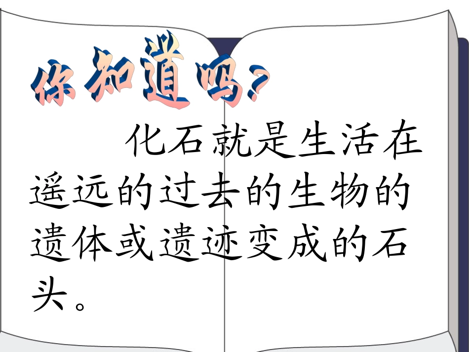 《活化石》课件_第3页