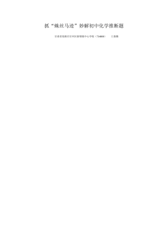 抓“蛛丝马迹”妙解初中化学推断题