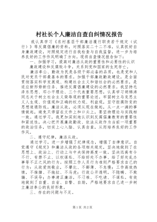 村社长个人廉洁自查自纠情况报告
