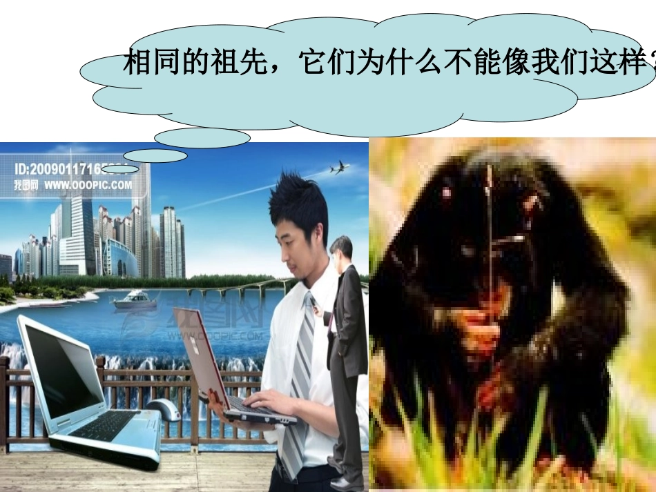 《意识的本质》定稿_第1页