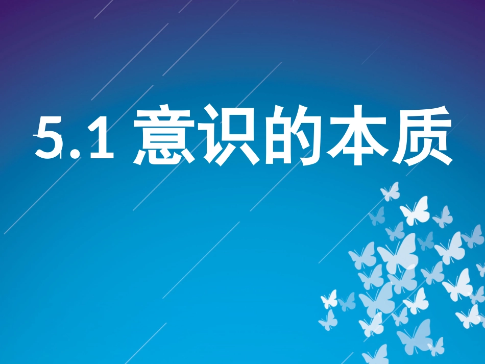 《意识的本质》定稿_第2页