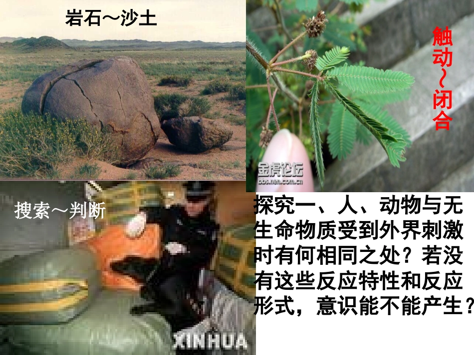 《意识的本质》定稿_第3页