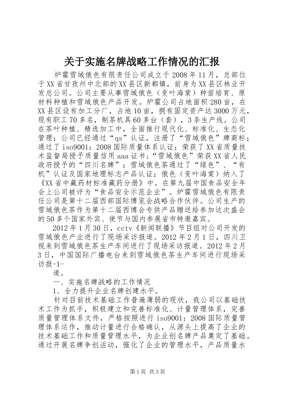 关于实施名牌战略工作情况的汇报_第1页