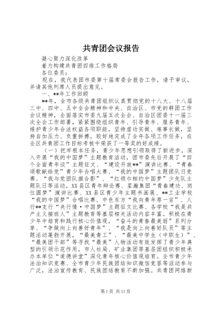 共青团会议报告