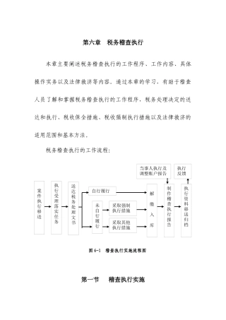 税务稽查案件执行
