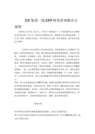 DX集团一线ERP财务管理解决方案例(上）(doc 20)