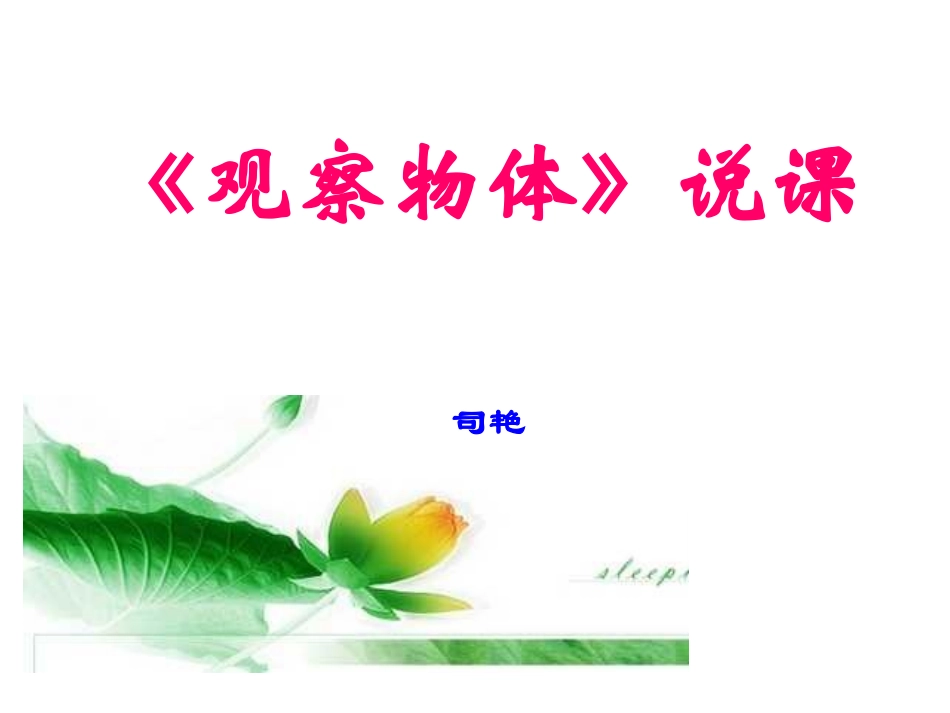 观察物体说课_第1页