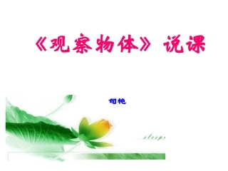 观察物体说课
