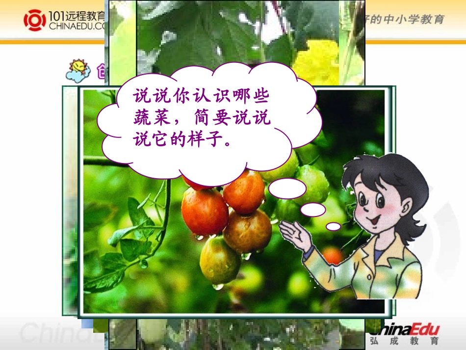 人教新课标版小学一上《一次比一次有进步》课件_第2页