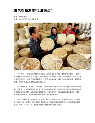 激活引领发展头雁效应