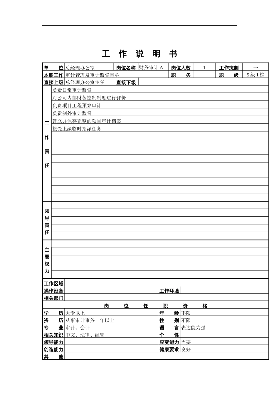 财务审计A工作说明书_第1页