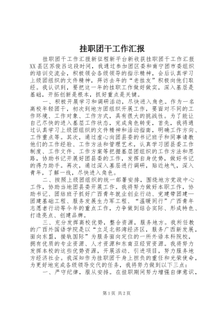 挂职团干工作汇报
