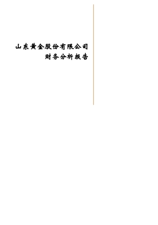 山东黄金股份有限公司财务分析报告