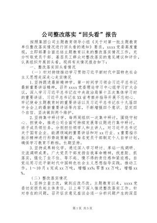 公司整改落实“回头看”报告