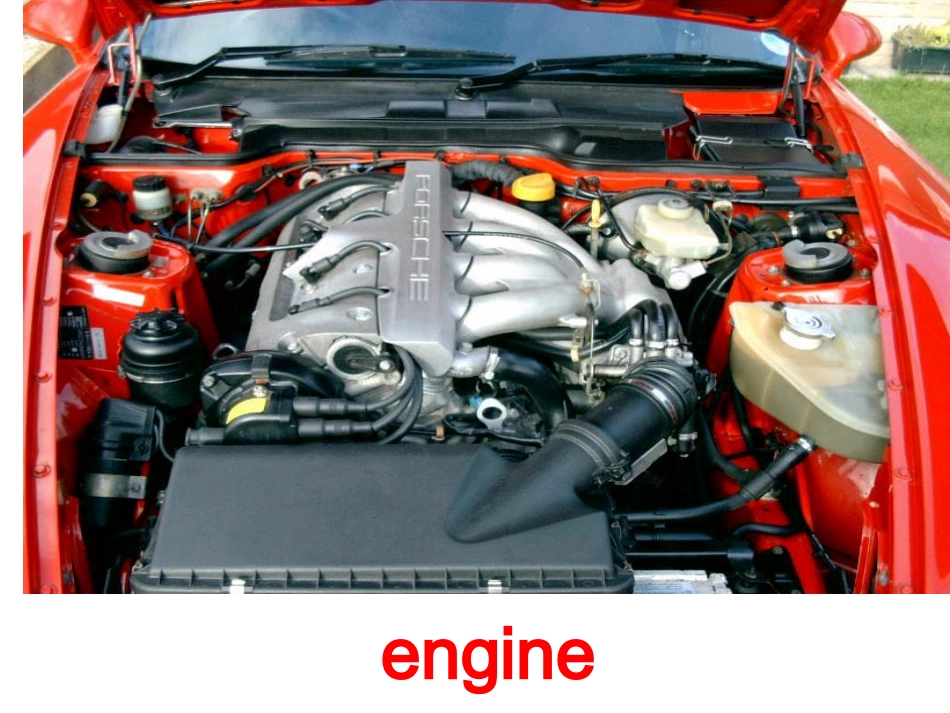 必修5unit1单词课件_第2页