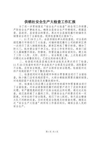 供销社安全生产大检查工作汇报