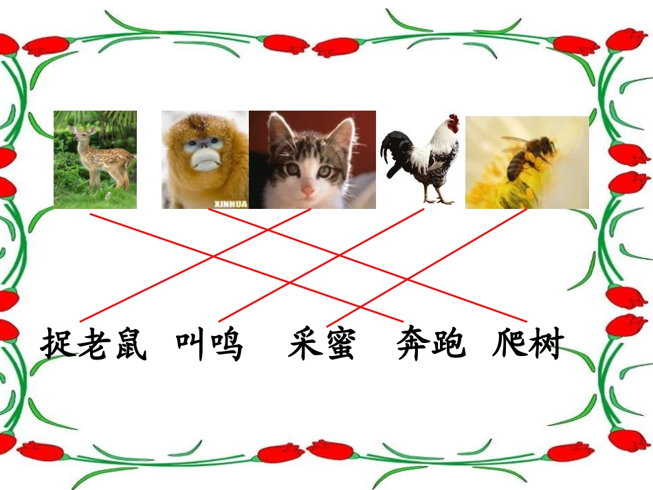 《比本领》课件_第2页