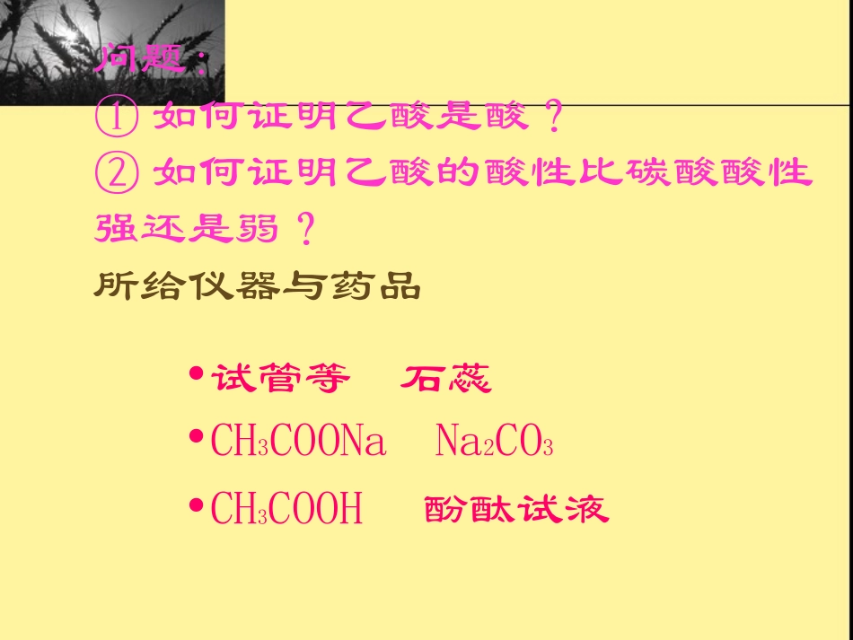 乙酸羧酸试讲课件3_第3页