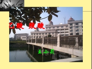 乙酸羧酸试讲课件3