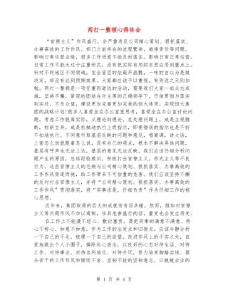 两打一整顿心得体会