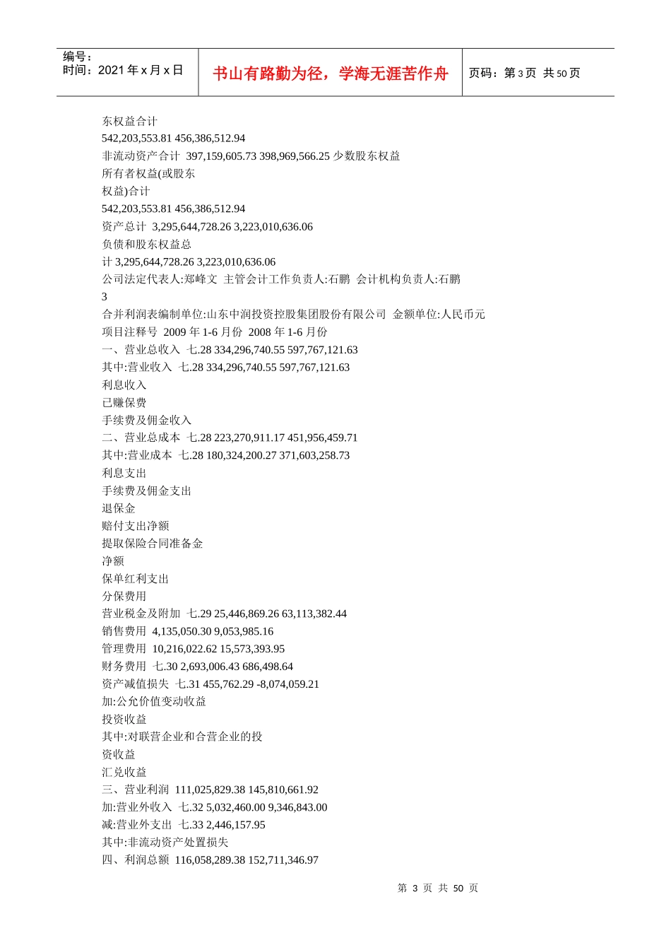 山东中润投资控股集团股份有限公司财务报告_第3页