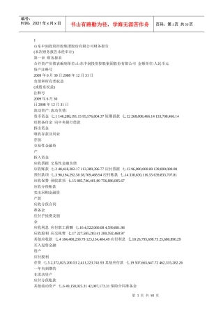 山东中润投资控股集团股份有限公司财务报告