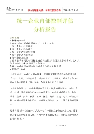 统一企业内部控制评估（DOC 11）(1)