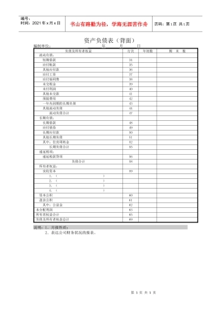 【财务表格】资产负债表（背面）