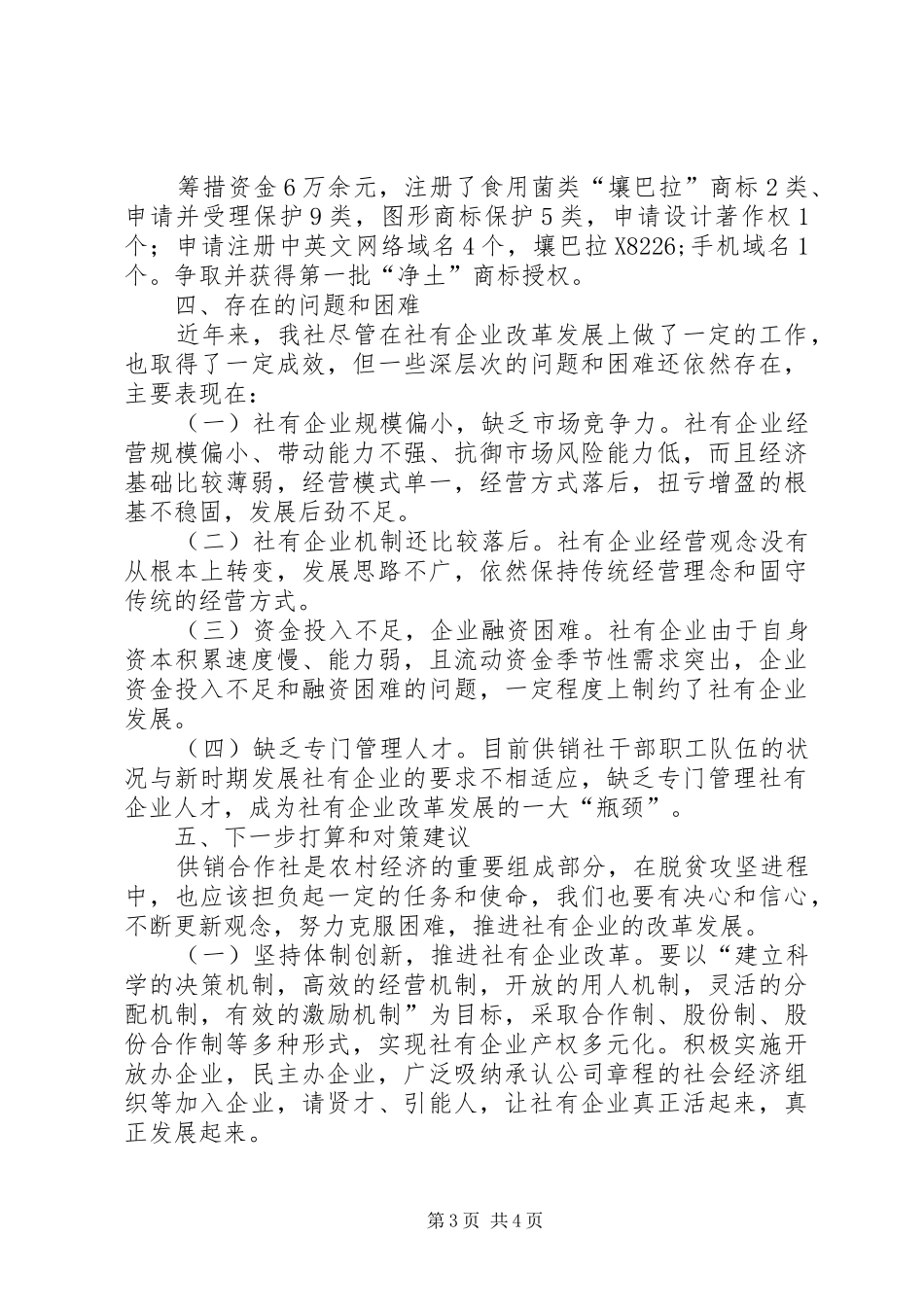 供销社社有企业调研报告_第3页