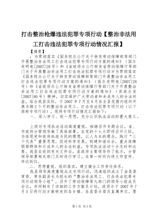 打击整治枪爆违法犯罪专项行动【整治非法用工打击违法犯罪专项行动情况汇报】