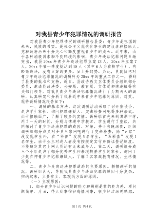 对我县青少年犯罪情况的调研报告 (13)