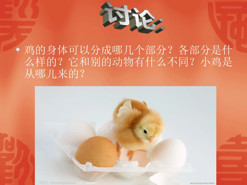 鄂教版三年级科学上册第19课《鸡》_第3页